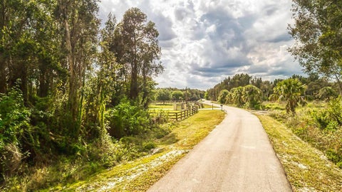 Featured picture for the property R10671289