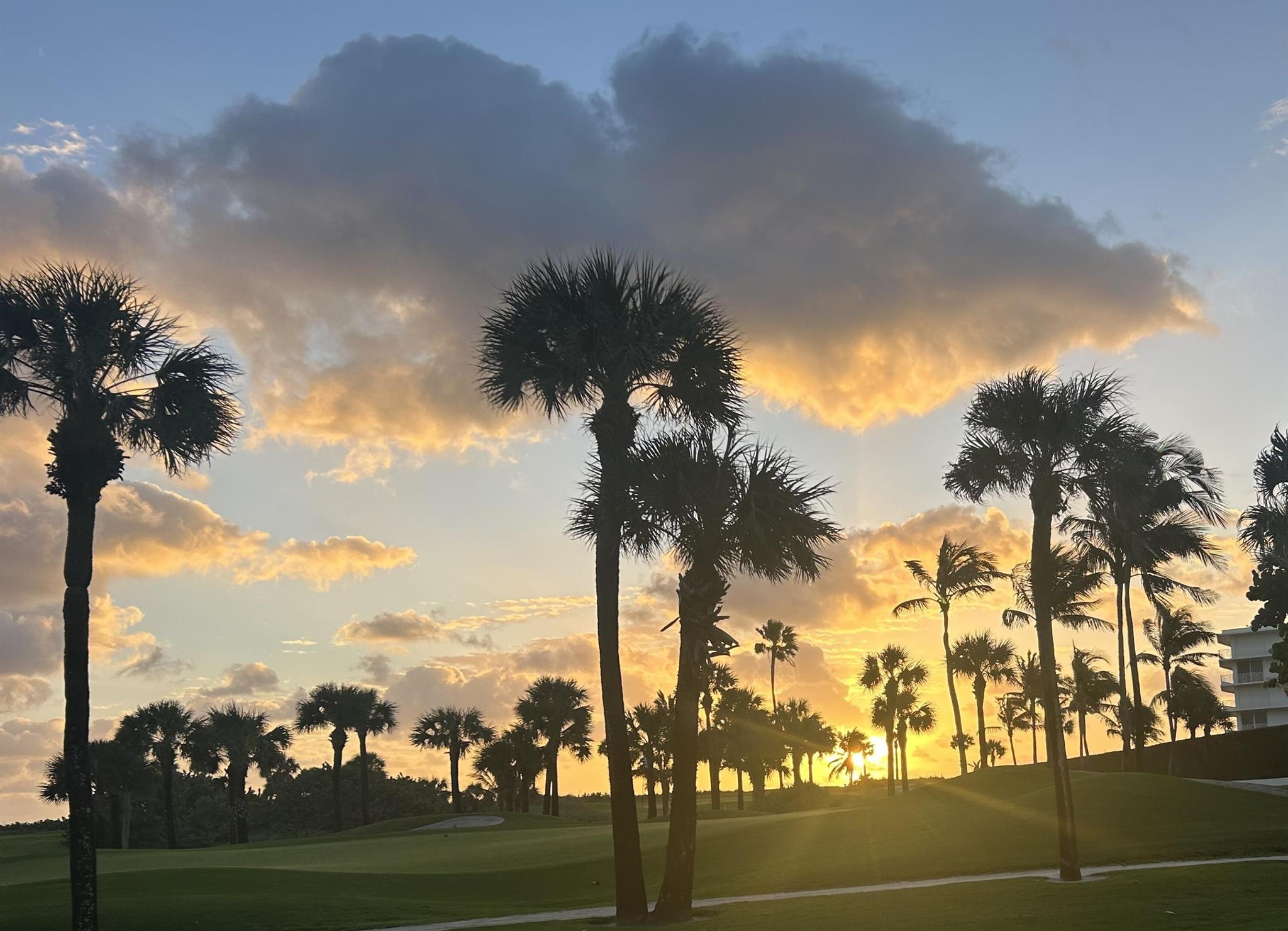 REGENCY OF PALM BEACH INC - Residential