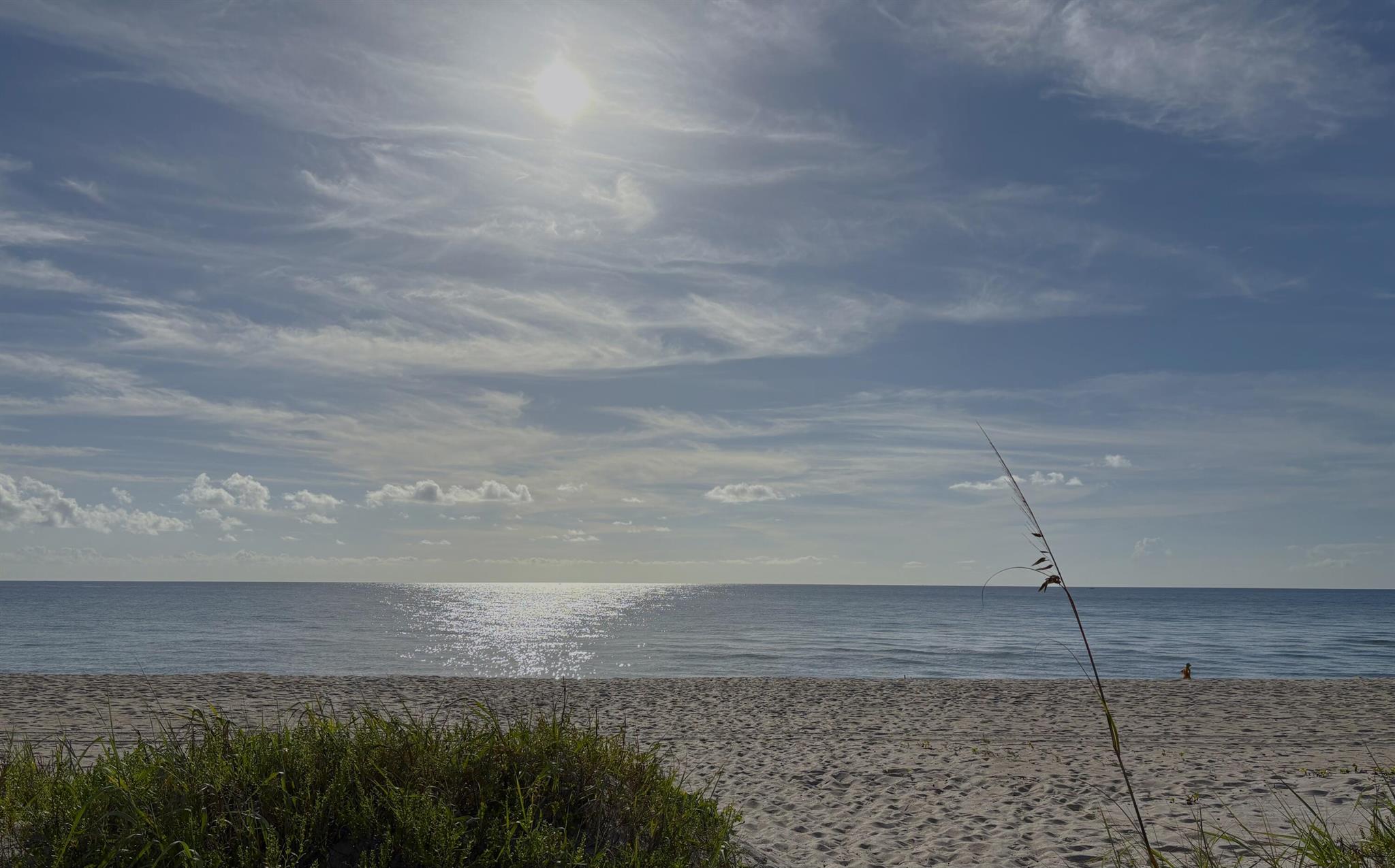 REGENCY OF PALM BEACH INC - Residential