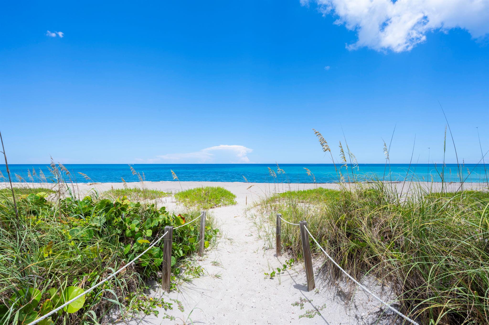 REGENCY OF PALM BEACH INC - Residential
