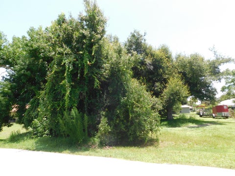 Photo of 5212 PALEO PINES Circle, Fort Pierce, FL 34951 (MLS # B26052222)