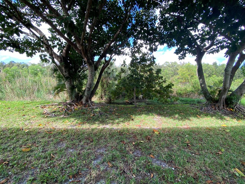 DORCHESTER CONDO - Residential