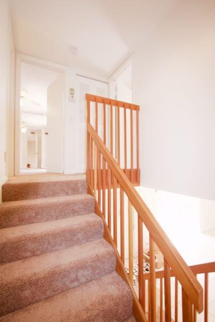 Waterford Courtyards - Residential