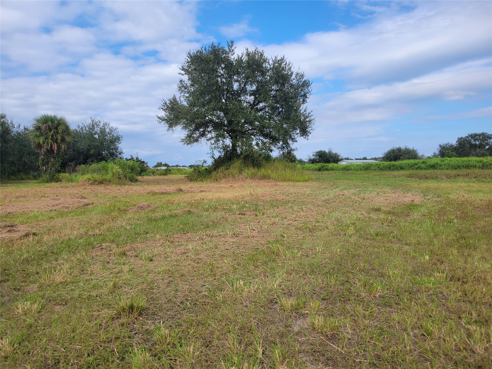 Southern Colonazation - Land