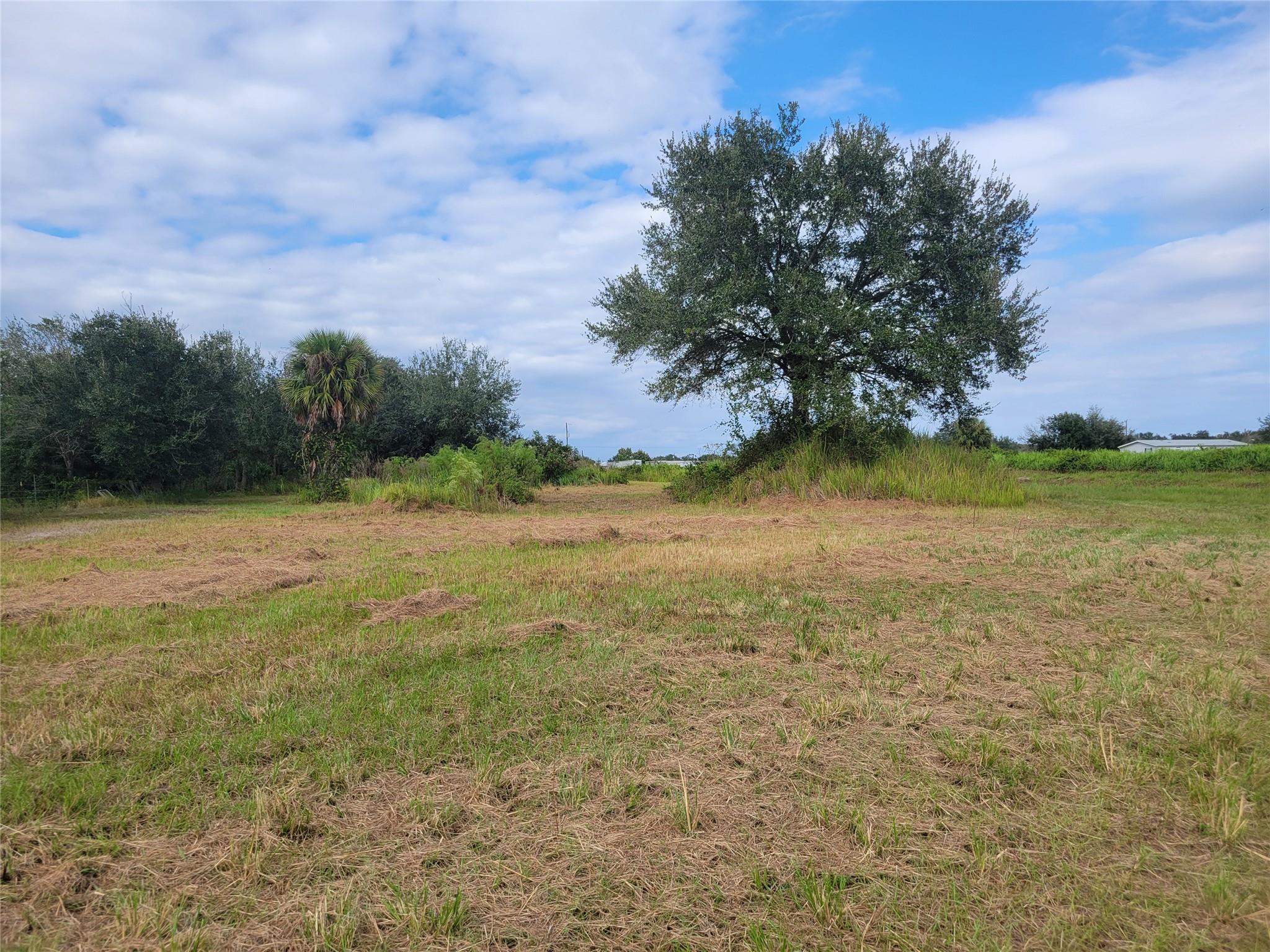 Southern Colonazation - Land