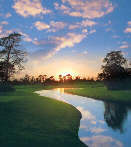 PALM COVE GOLF & YACHT CLUB - Residential