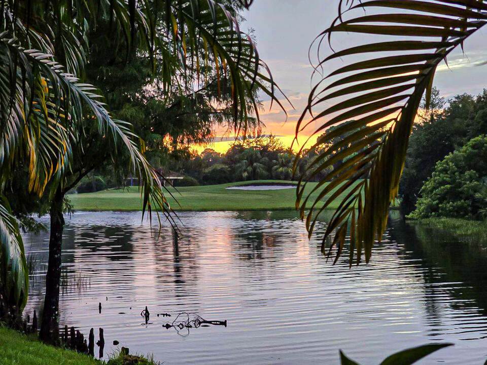 PALM COVE GOLF & YACHT CLUB - Residential