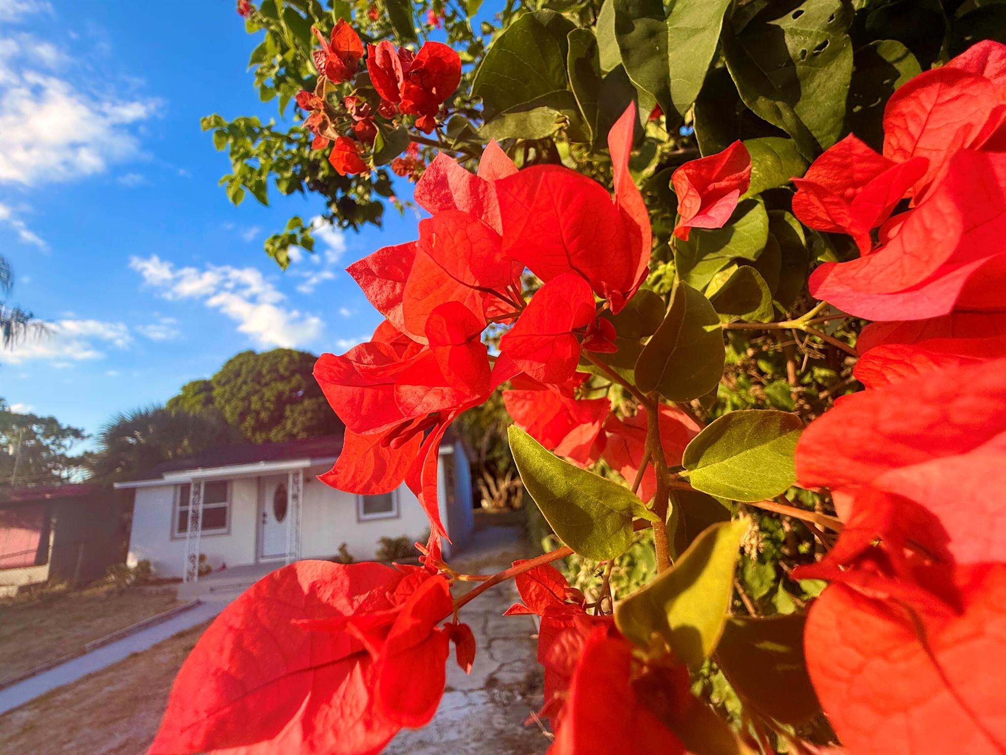 RIDGE GROVE ADD 1 - Residential