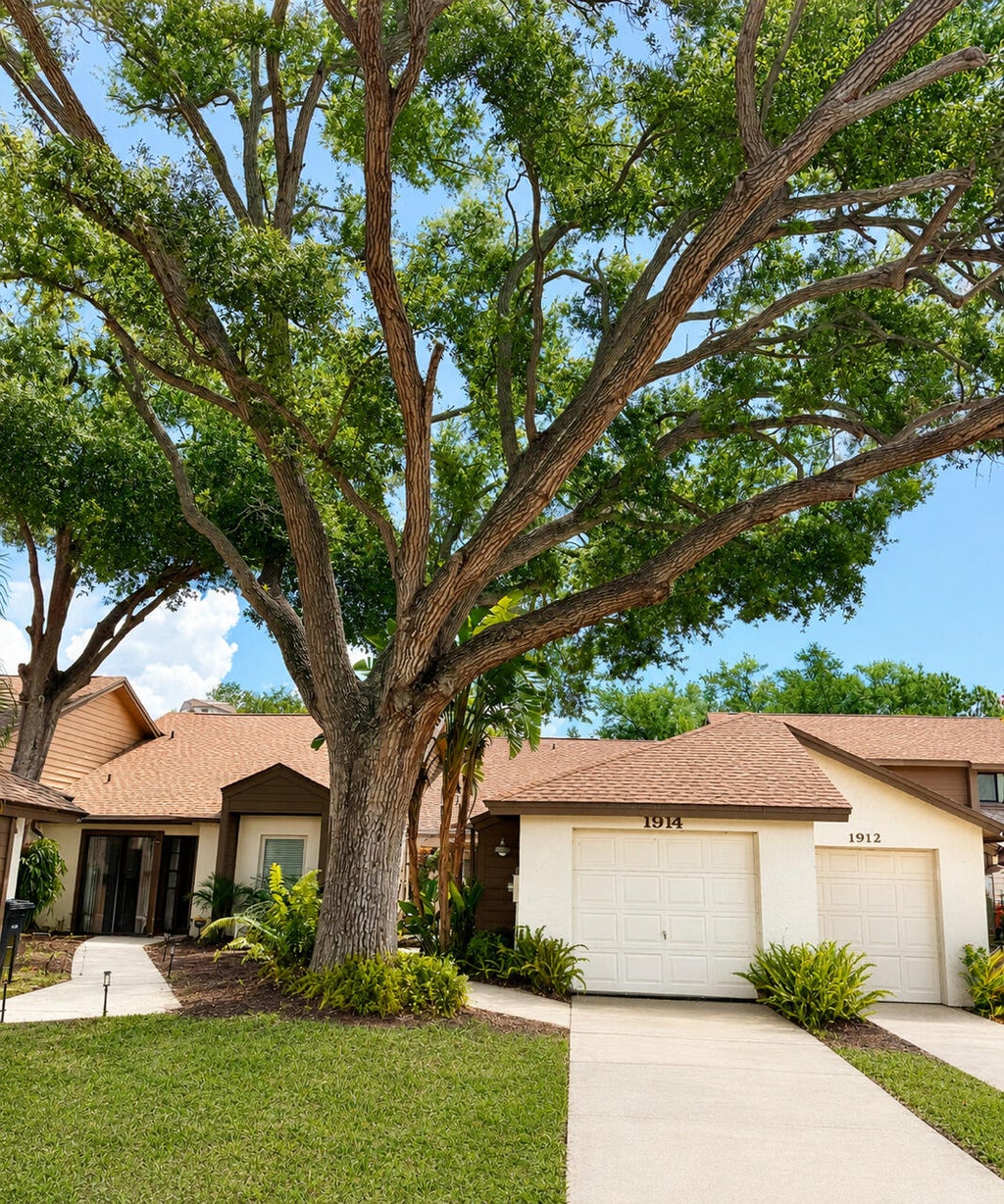 Photo of 1914 Bayshore Court, Safety Harbor, FL 34695 (MLS # B26039062)