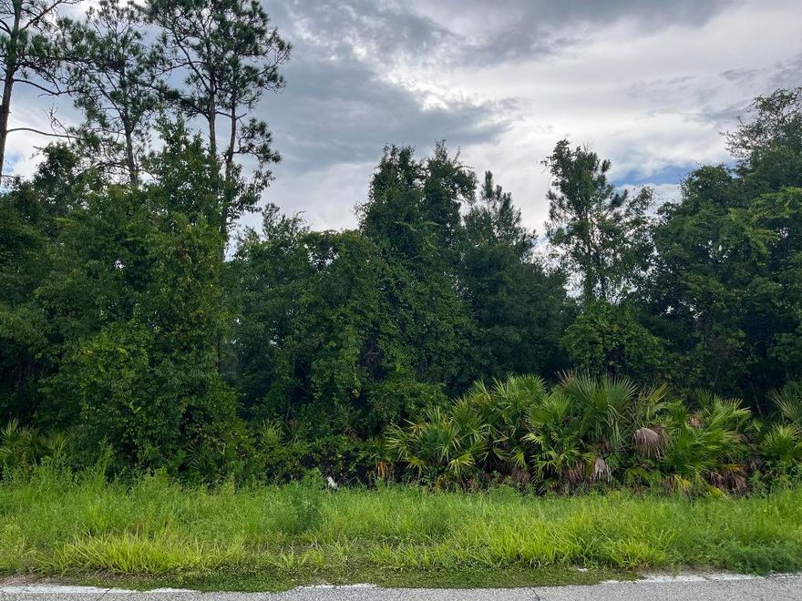 Owner financing is available! This is an excellent opportunity to own a desirable lot on a paved road in the developing area of Palatka. With no HOA restrictions, proximity to the town center, it's an ideal location. If you're seeking to buy your dream property in Florida, your search ends here. This lot is priced below market value, making land purchase in Florida a sound investment. Whether you're planning to build your dream home, a vacation retreat, a rental property, or simply hold onto the land as a valuable long-term asset for future resale at a profit, this property represents a wise choice.