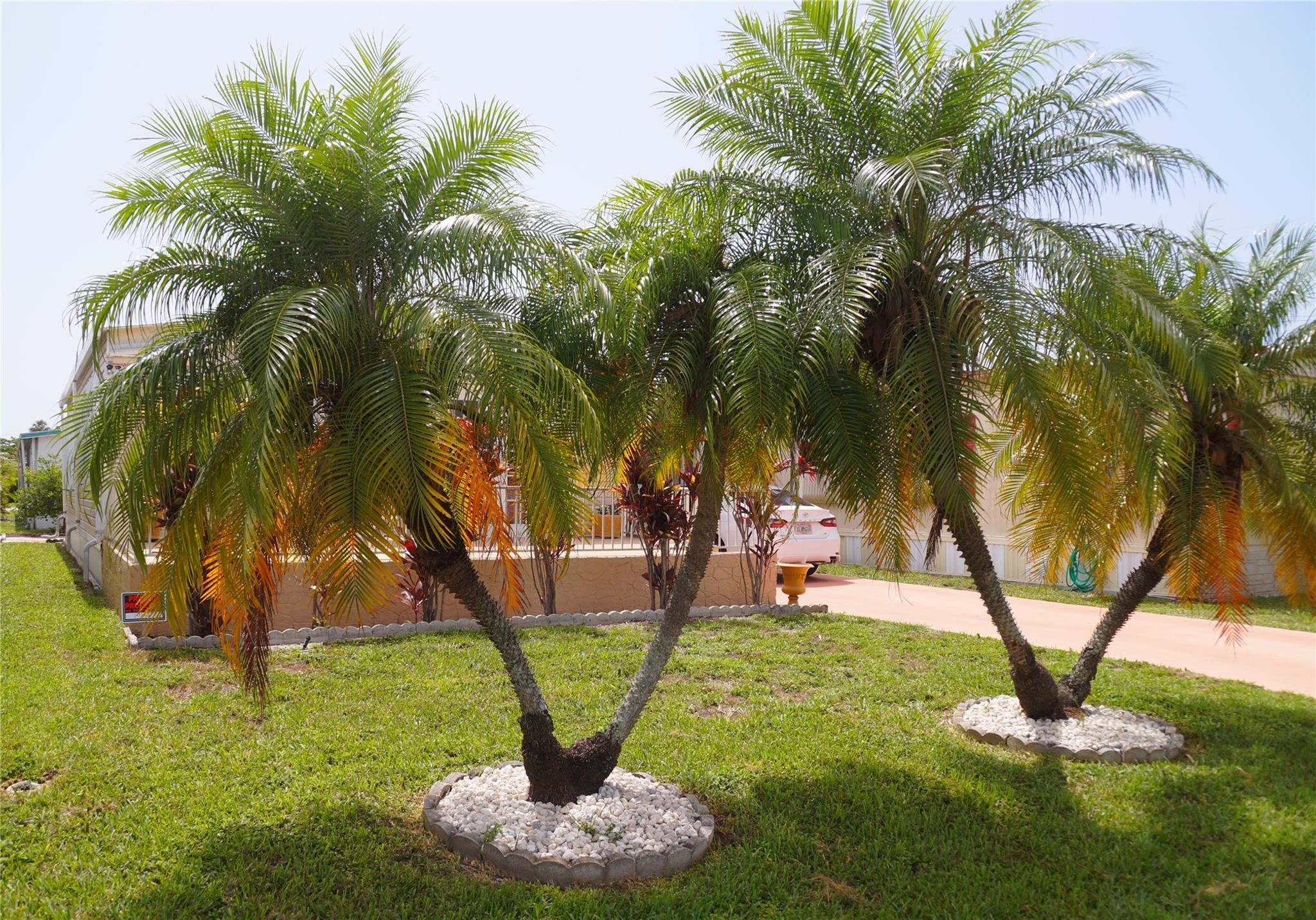 5280 SW 23rd Ave, Fort Lauderdale, FL, 33312/$295,000 2 5280 SW 23rd Ave