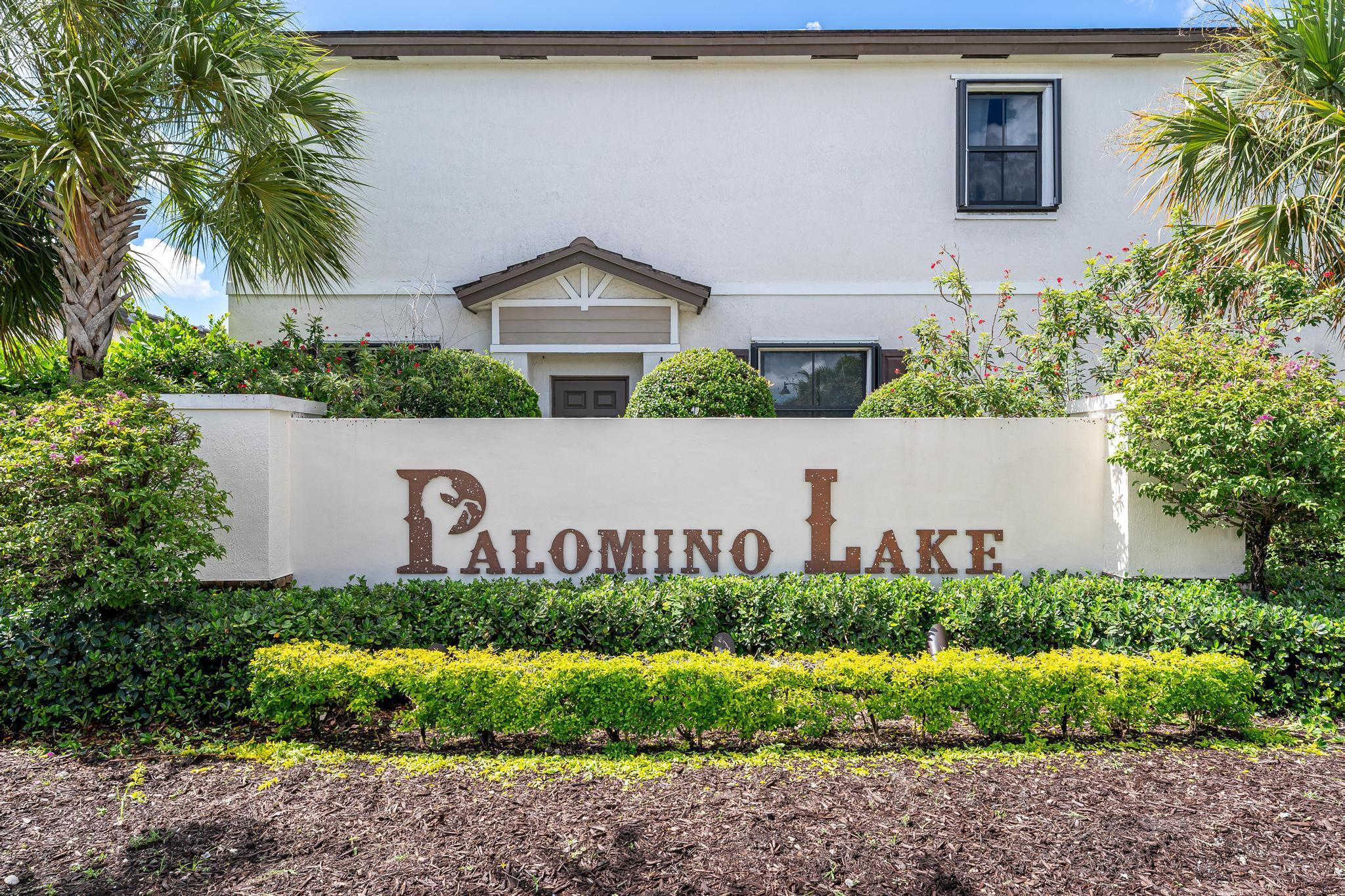 PALOMINO LAKE - Residential