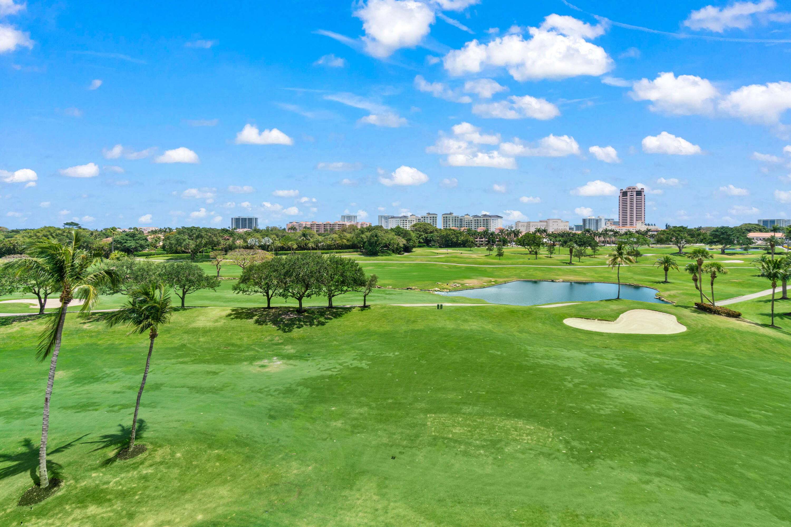 ALINA BOCA RTON CONDO - Residential