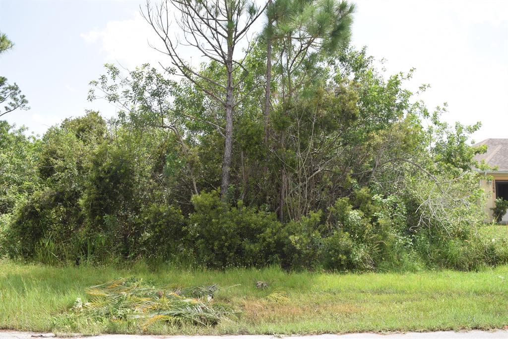 PORT ST LUCIE SECTION 17 - Land