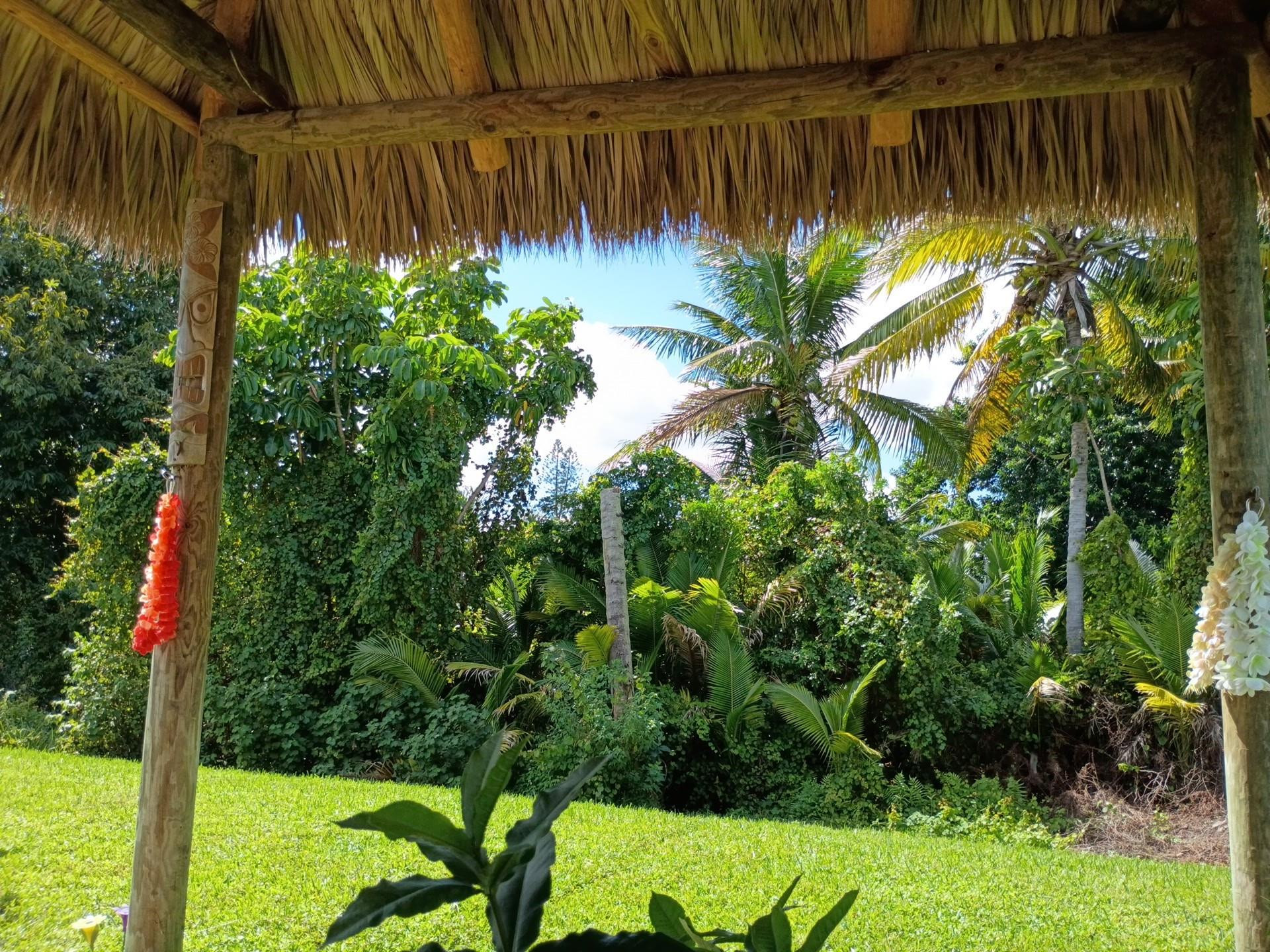 Palm Breezes Club - Residential