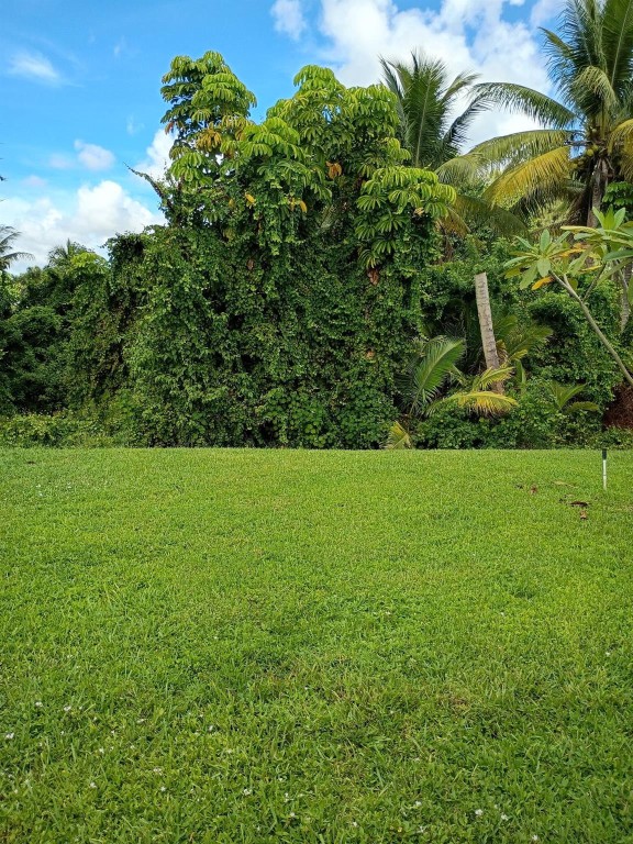 Palm Breezes Club - Residential