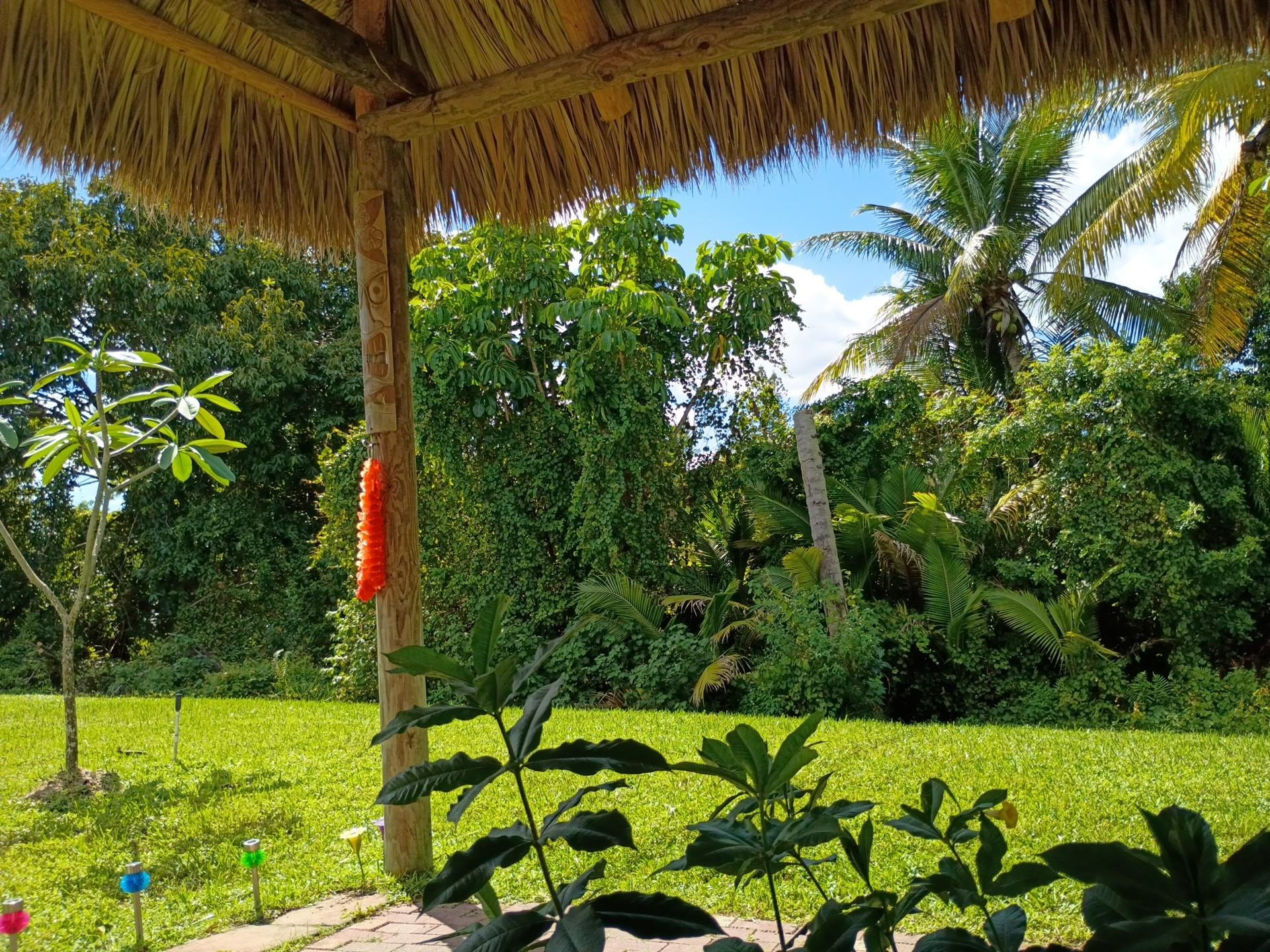 Palm Breezes Club - Residential