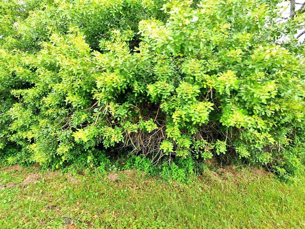 GREAT LOT CLOSE TO 95 BUILD YOUR DREAM HOME
