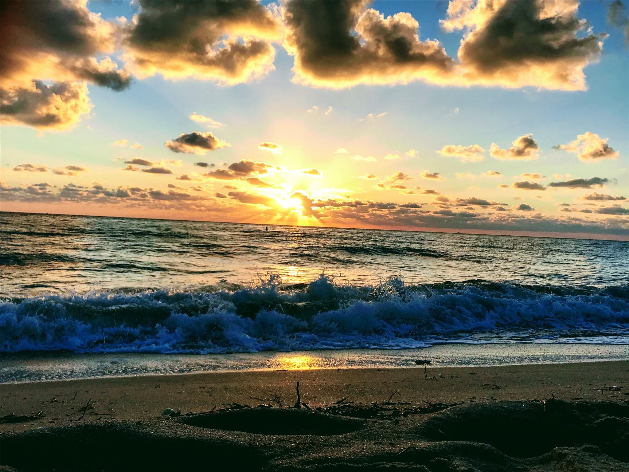 Ocean Monarch Condo - Residential Lease