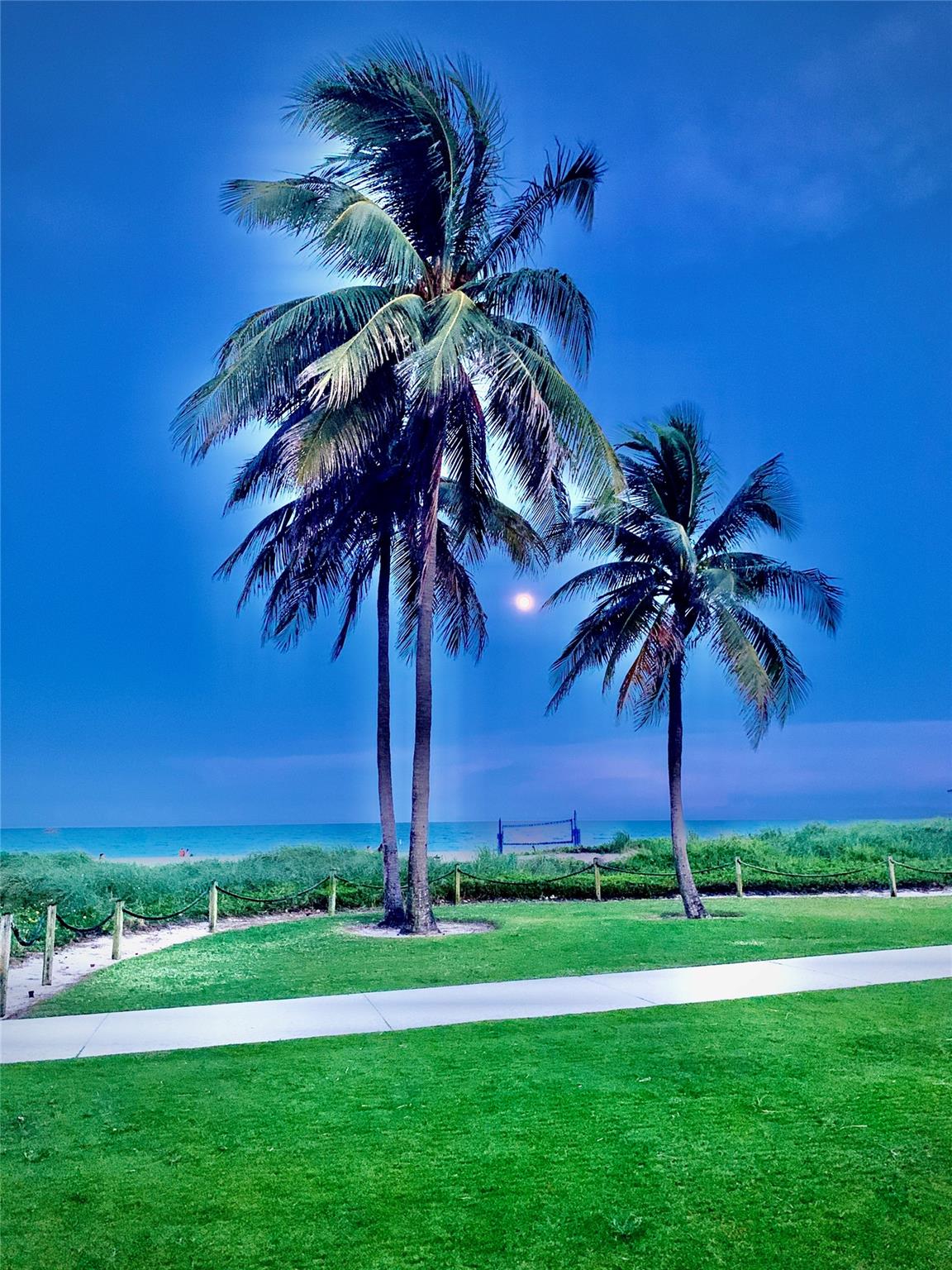 Ocean Monarch Condo - Residential Lease