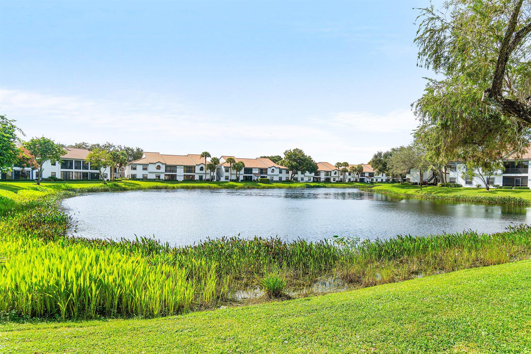 ALEXANDRA VILLAGE CONDO - Residential