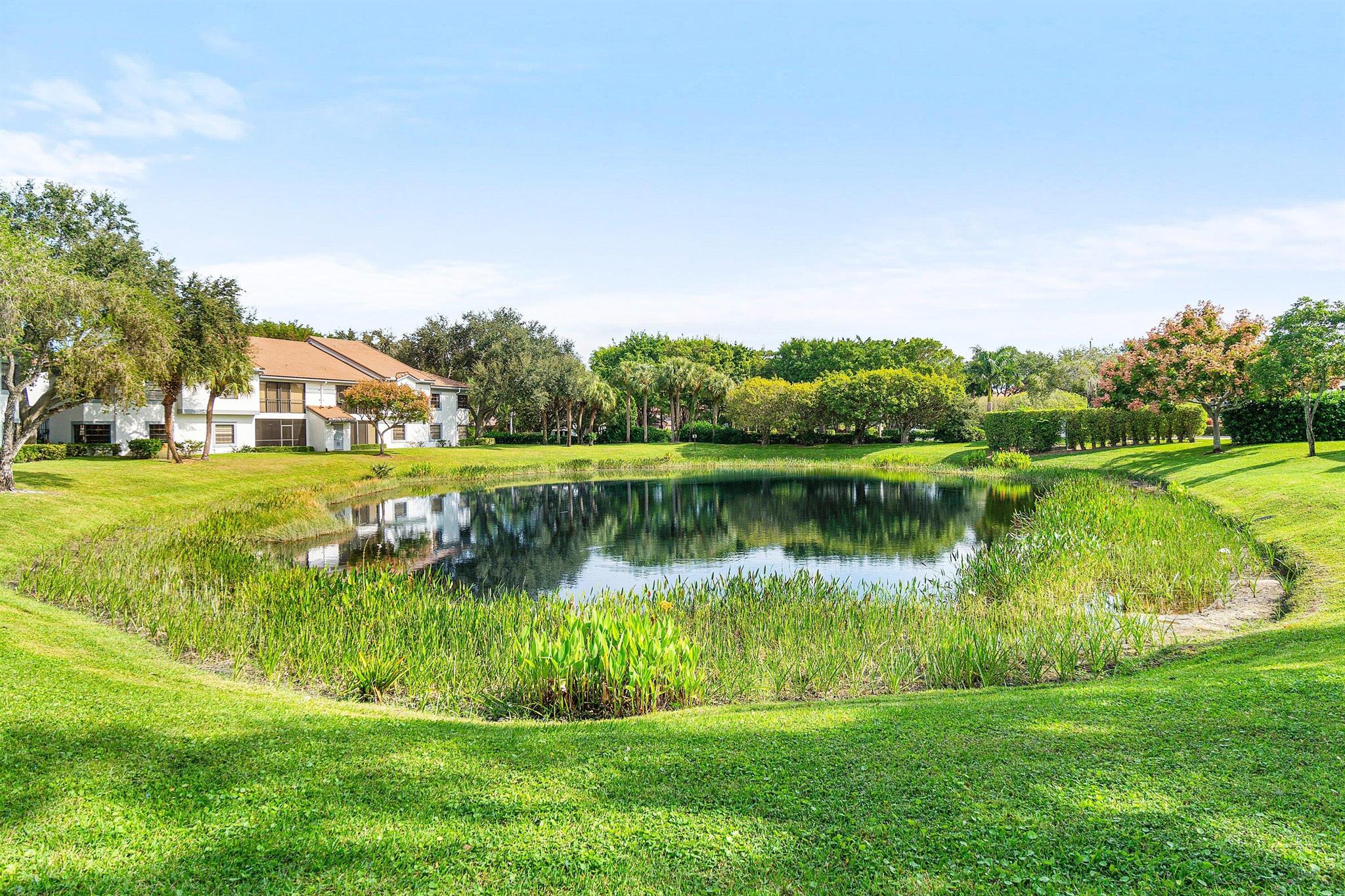 ALEXANDRA VILLAGE CONDO - Residential