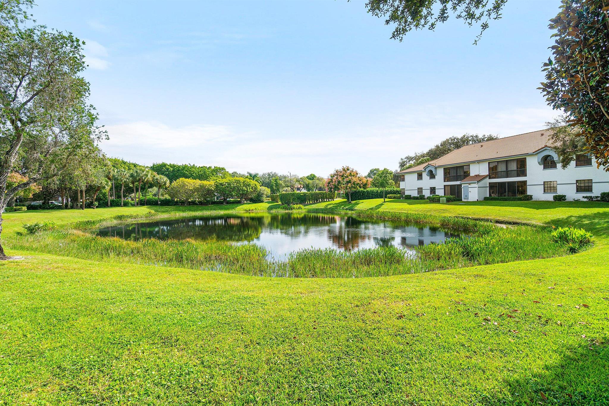 ALEXANDRA VILLAGE CONDO - Residential