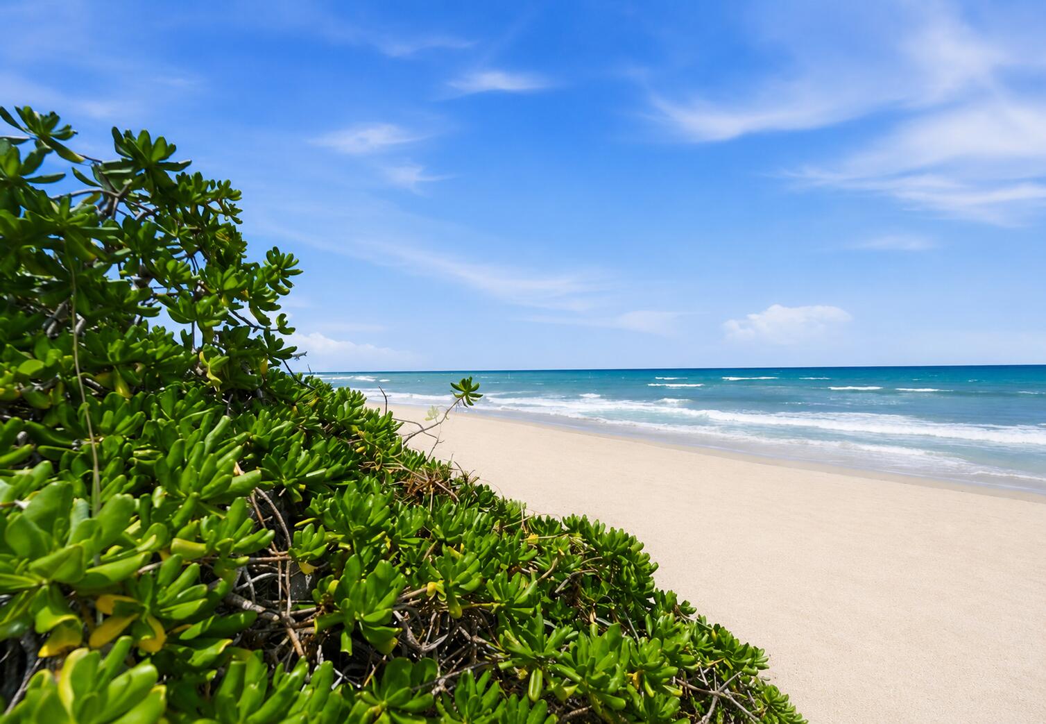 OCEAN BAY VILLAS, A CONDOMINIUM - Residential