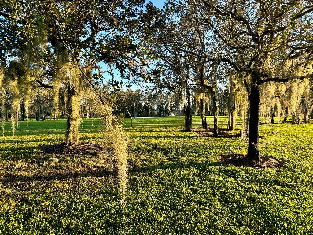 TESORO PLAT NO 2 - Land