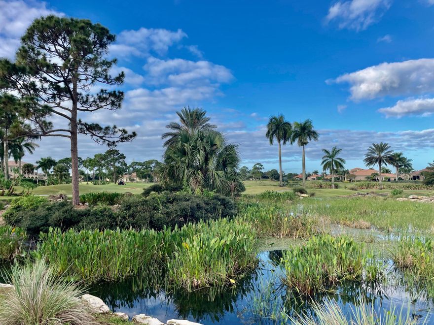 A man-made pond with a waterfall cascading away from the site frame, the Green to Tee views of the Palmer 5th Golf Hole, and an oak tree line park across the street are a few of this homesite's superlatives. Tesoro's design guidelines allow for the finest homes in the latest motifs, giving you the power to create your dream home. As the new owner, you may use any of Tesoro's featured builders to construct your home, putting you in control of the design process. Call today for the latest information on the Tesoro Featured Builders. With ownership of this property, membership in the club is strictly optional, and there is no designated time for construction to begin. Tesoro is a private gated golf community, so appointments are needed to see the homesite with sunset views.