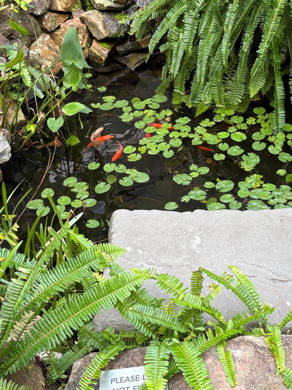 1357 NE Ocean Boulevard 316