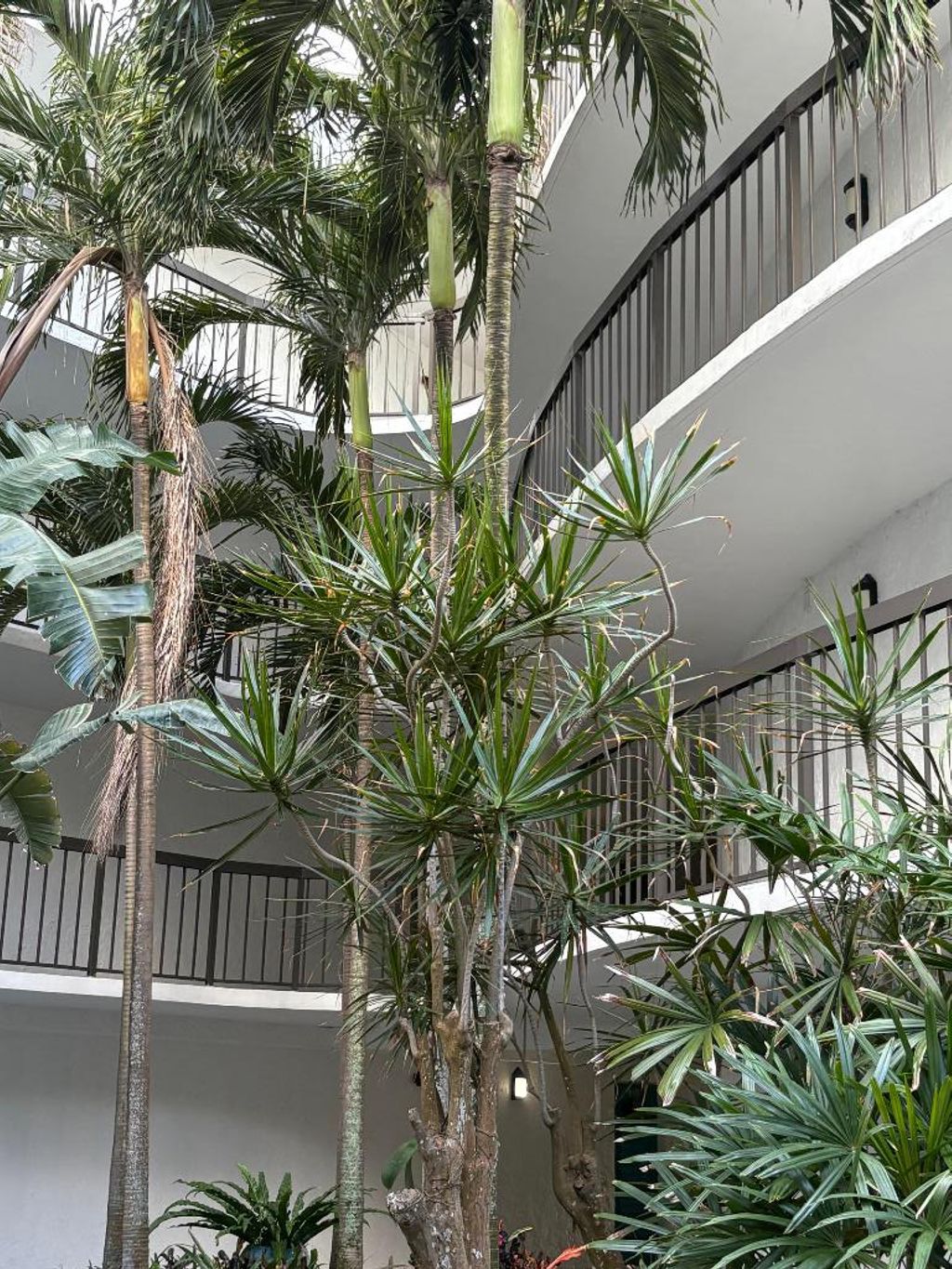 Photo of 1357 NE Ocean Boulevard #316, Stuart, FL 34996 (MLS # R11145555)