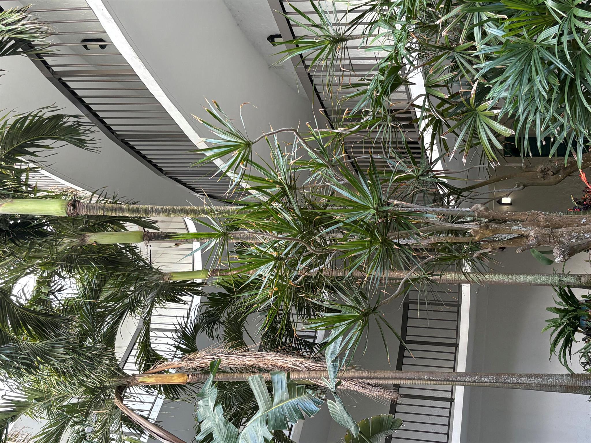 SUNTIDE CONDO - Residential