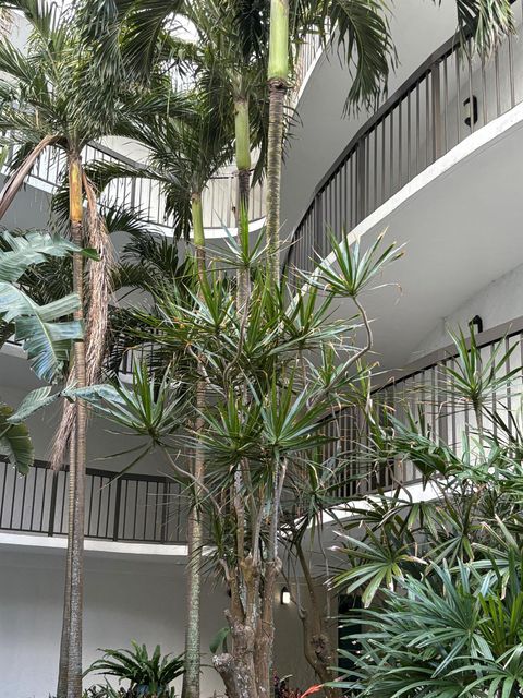 1357 NE Ocean Boulevard 316 Stuart FL 34996