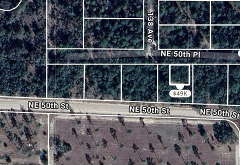 0 NE 50th Place Lot 11&12 Williston FL 32696