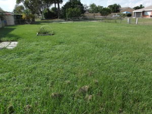 SOUTH PORT ST LUCIE UNIT - Residential Lease