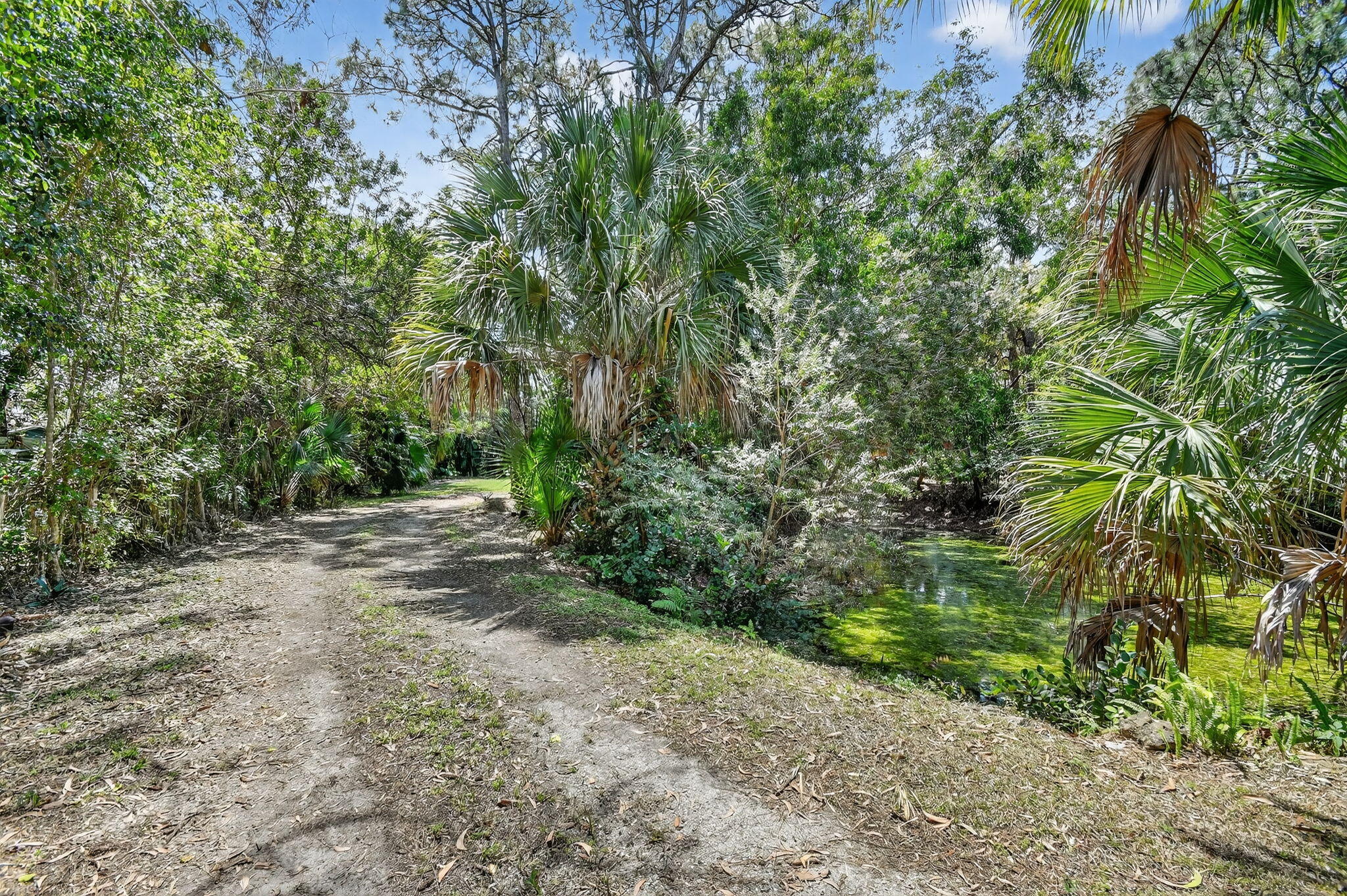 ACREAGE - Residential