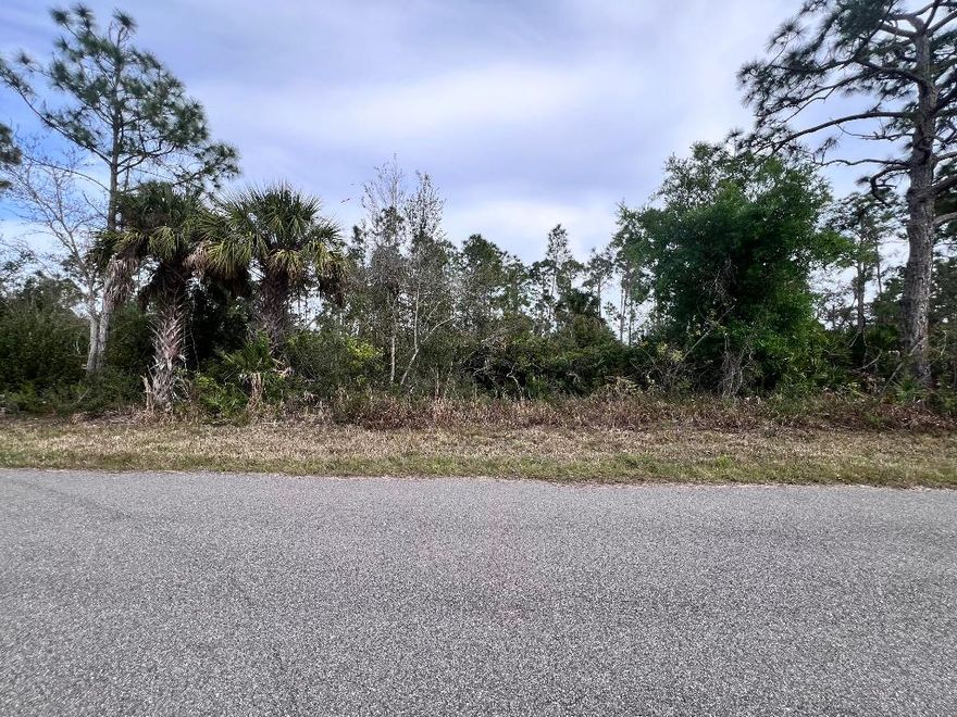 OWNER FINANCIAL AVAILABLE!! Port Charlotte is one of the growing cities in Florida, close to the beach, restaurants, markets, and much more. You can have your new construction home with all the benefits of living in paradise. Make this beautiful lot your future home!!
