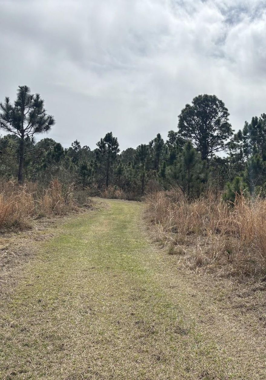 CAMP HUNT RIDE off Old Grade Road in Polk City, FL. This private one acre lot is a blank canvas for your recreational and/or agricultural ventures. Take advantage of our owner financing with only $1,500 down and no closing costs.Owner financing available
