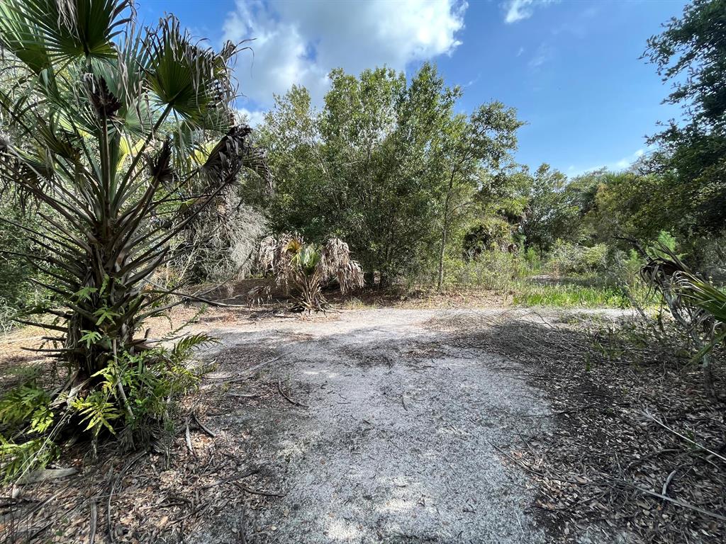 Build or bring your dream home and barn on this beautiful and private high and dry 1.25 acre just off the main paved road. There are power poles on this street making it easy to get power to your new home. there is so much to enjoy in Okeechobee County. Come to The Kissimmee River Preserve State Park West of this area as well is the Kissimmee River. The Kissimmee River flows into Lake Okeechobee and is well known for some of the best fishing. whether you like Fishing, hunting, mudding agriculture or just privacy here you have it all. Owner Financing available