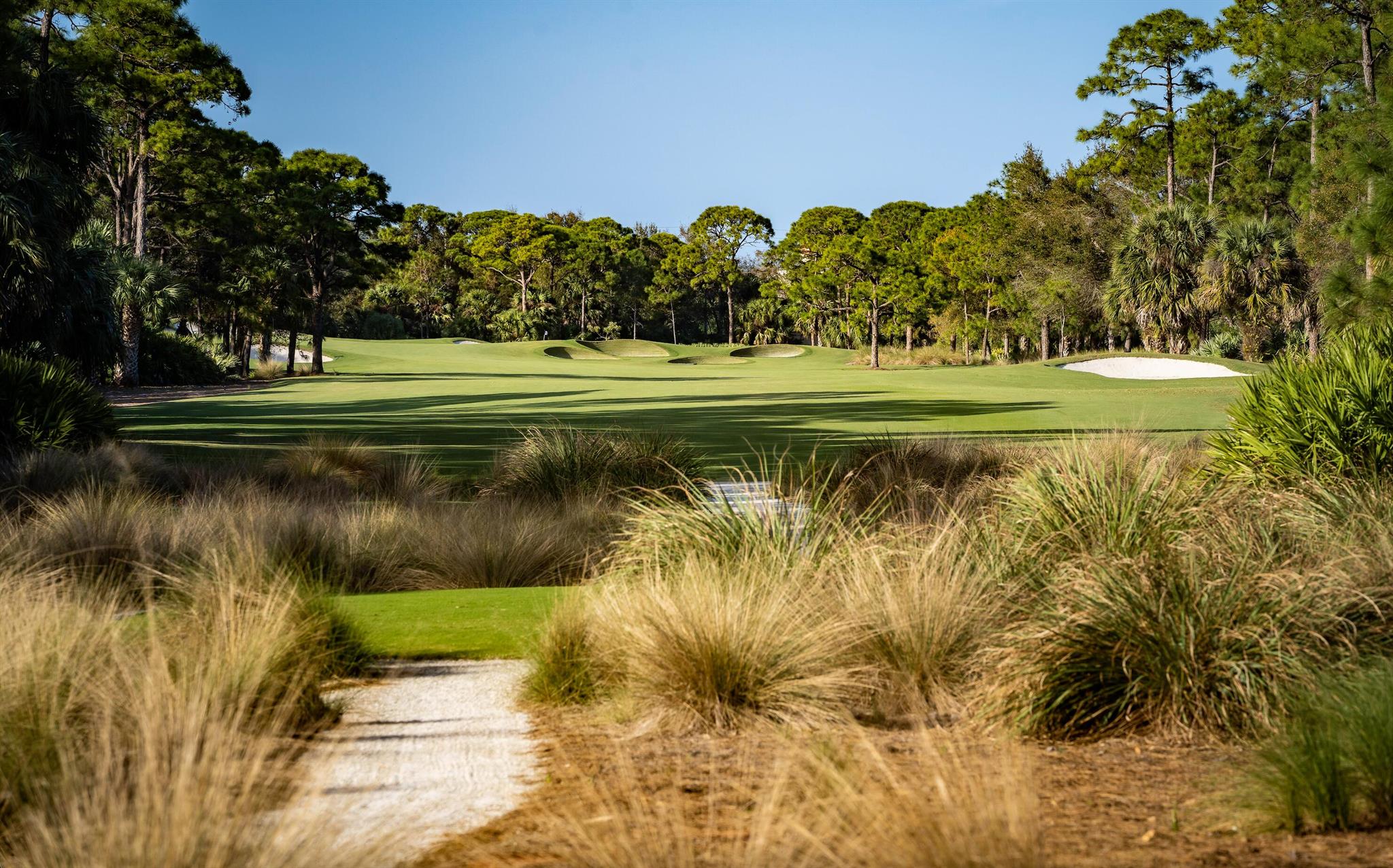 EAGLE TREE VILLAS PUD - Residential