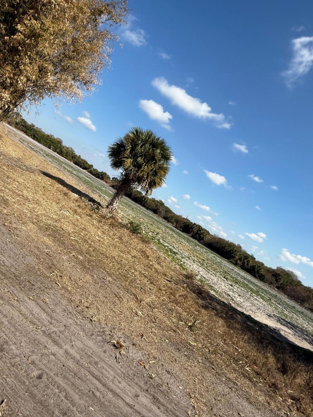 Photo of 0 SW Tommy Clements Street, Indiantown, FL 34956 (MLS # R11164242)