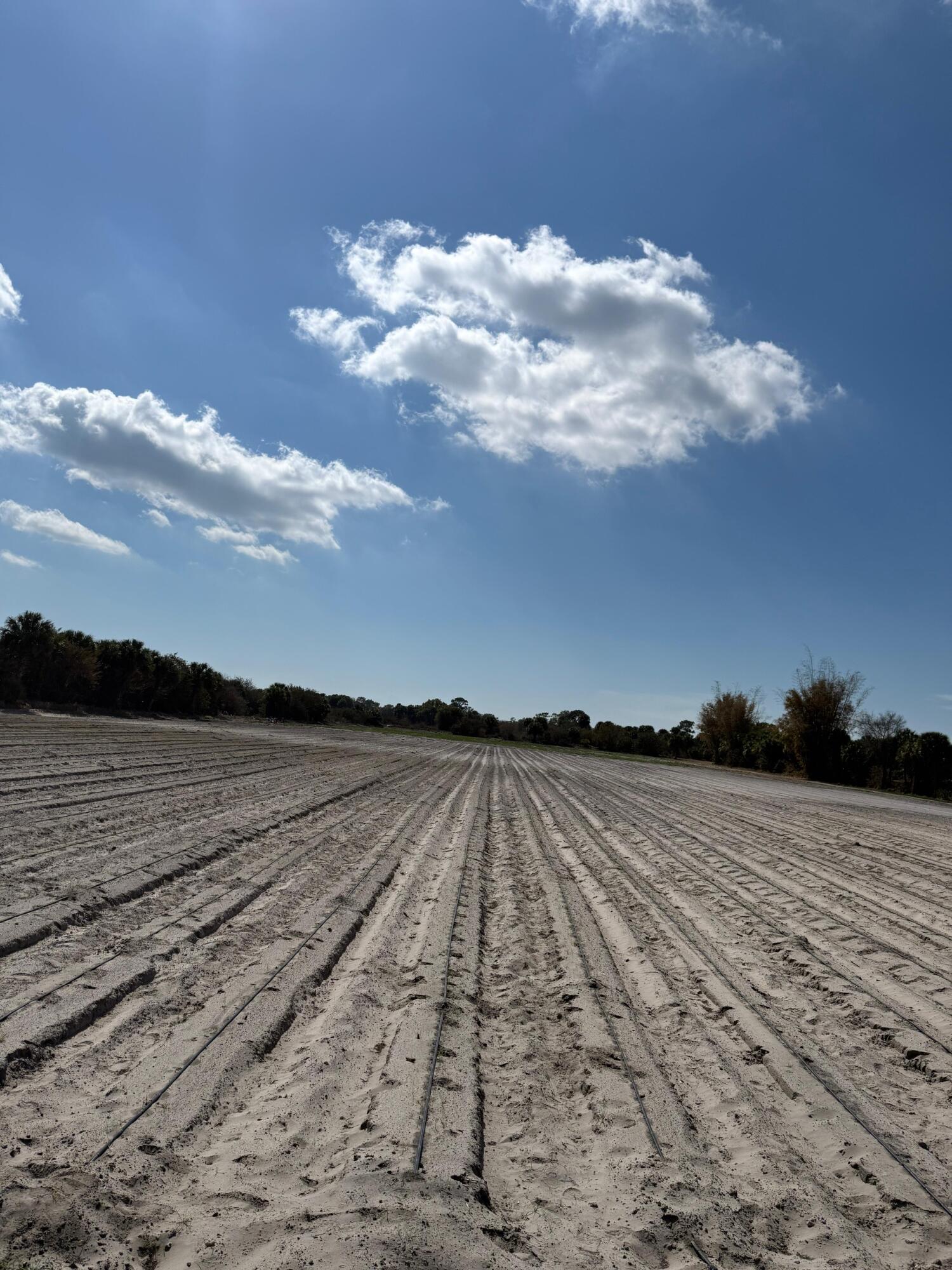 SUNRISE GROVES UNREC - Land