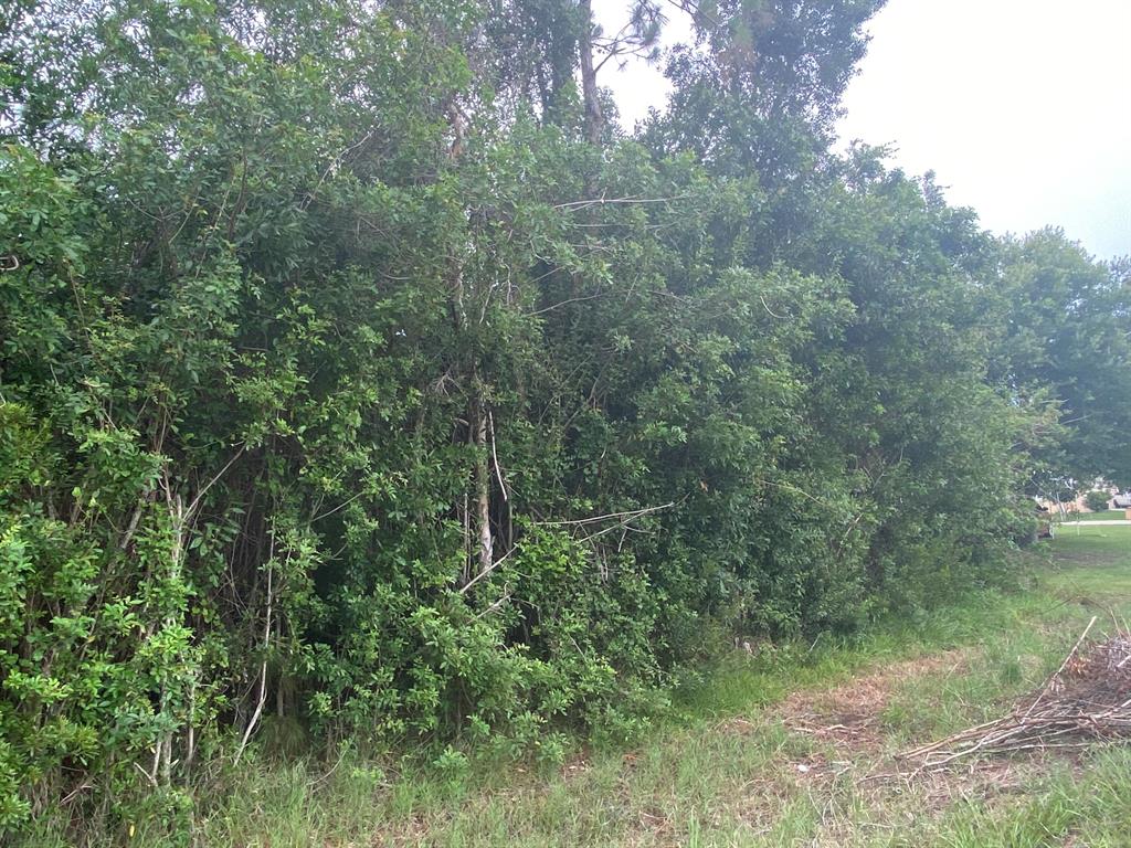 Basswood Estates- 0.358 acre lot. Non HOA community zoned for single family residence. Centrally located near schools, state college, airport, and minutes from downtown City of Okeechobee. Community has new sidewalks, cross walks, and school bus stops.