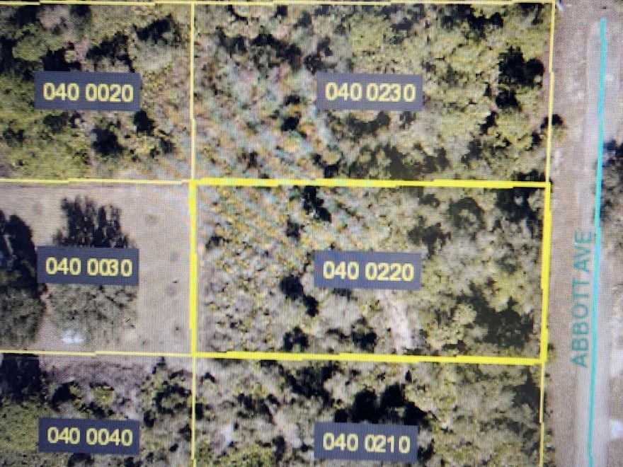 This 0.5001-acre (21,785 sq. ft.) lot offers ample space to build the home of your dreams. Located in a thriving neighborhood with several newly constructed homes already in place, it represents an excellent opportunity at a competitive price. Don't miss your chance to own this property!