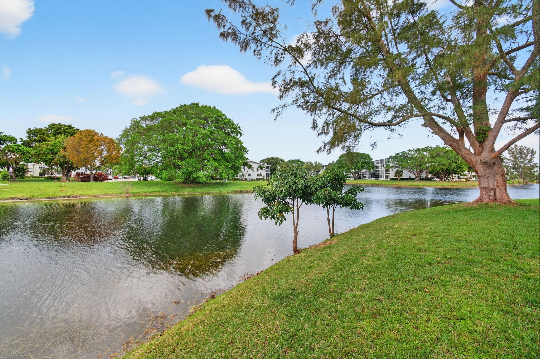 CENTURY VILLAGE  CAMBRIDGE F - Residential