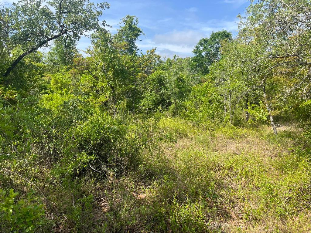 COMPASS LAKE HILLS - Land