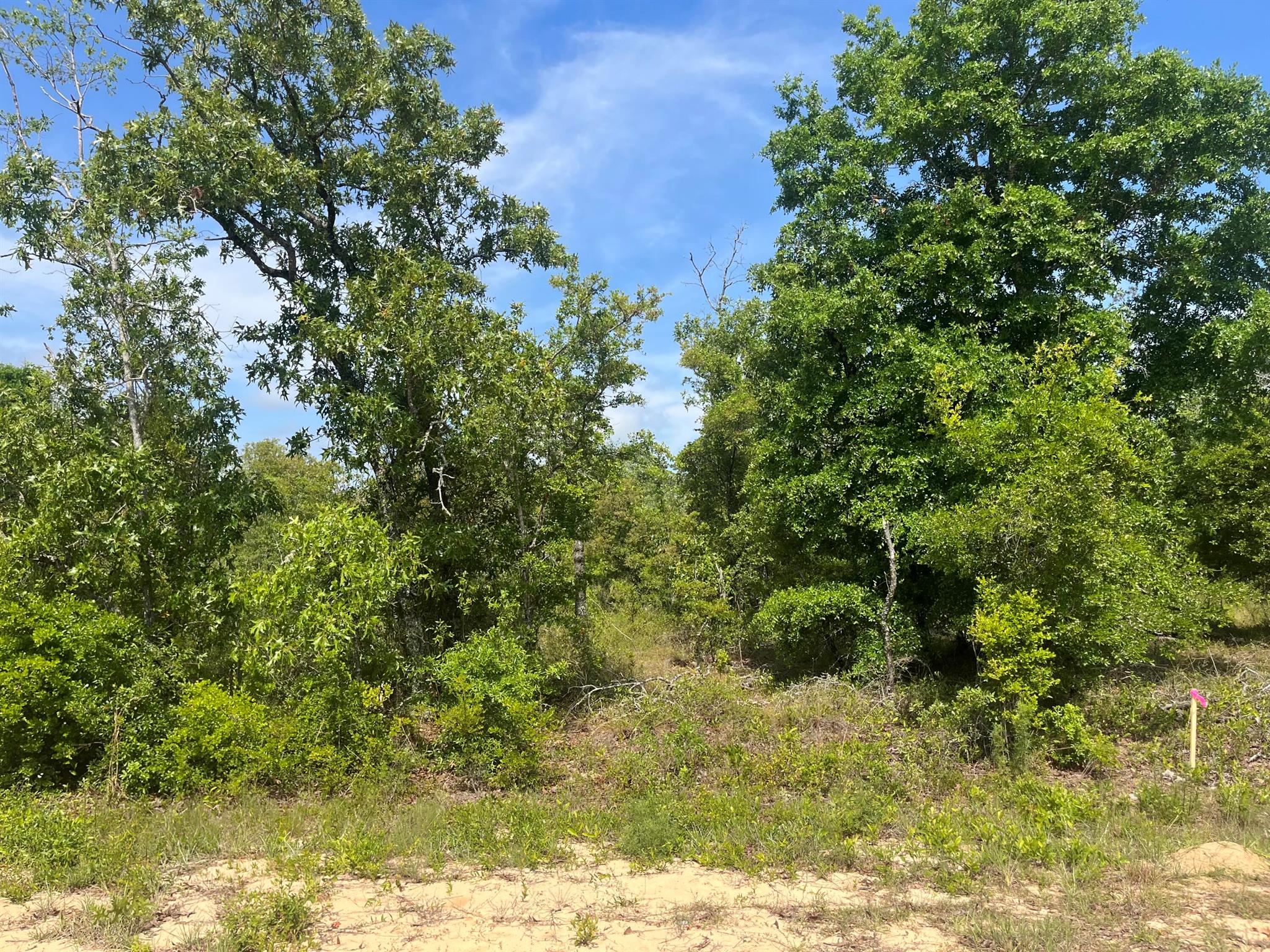 Don't miss out on this wooded 0.98- acre residential lot in Compass Lake in the Hills just outside of Marianna, FL. This lot would be the perfect site for your dream home. It is close to beautiful Compass Lake which is a haven for boating, skiing, fishing, and swimming. Compass Lake in the Hills also has a club house with restaurant, tennis courts, swimming pool, picnic areas, business center, etc. This lot is located in close proximity to Hwy 231 and is about 45 to Panama City and about an hour to the Gulf Coast and its beautiful beaches! This is great opportunity to invest in the growing panhandle of Northwest Florida. FOR DIRECTION PURPOSES ONLY property across the street 3253 clark st