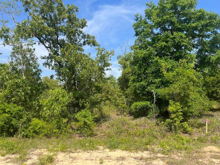 Owner Financing Available! Don't miss out on this wooded 0.98-acre residential lot in Compass Lake in the Hills, just outside of Marianna, FL. mobile or manufactured homes now permitted with approval.Located just minutes from the paved road, this property offers a peaceful setting ideal for building your dream home in one of Northwest Florida's most scenic communities. Enjoy close proximity to beautiful Compass Lake, a popular destination for boating, skiing, fishing, and swimming. Residents also have access to a clubhouse with restaurant, tennis courts, swimming pool, picnic areas, and a business center. Conveniently located near Highway 231, this lot is approximately 45 minutes to Panama City and about an hour to the Gulf Coast's stunning beaches. Whether you're ready to build or looking for a smart investment, this is a great opportunity in the growing panhandle of Northwest Florida. For directional purposes only, the property is located across the street from 3253 Clark St, Alford, FL 32420