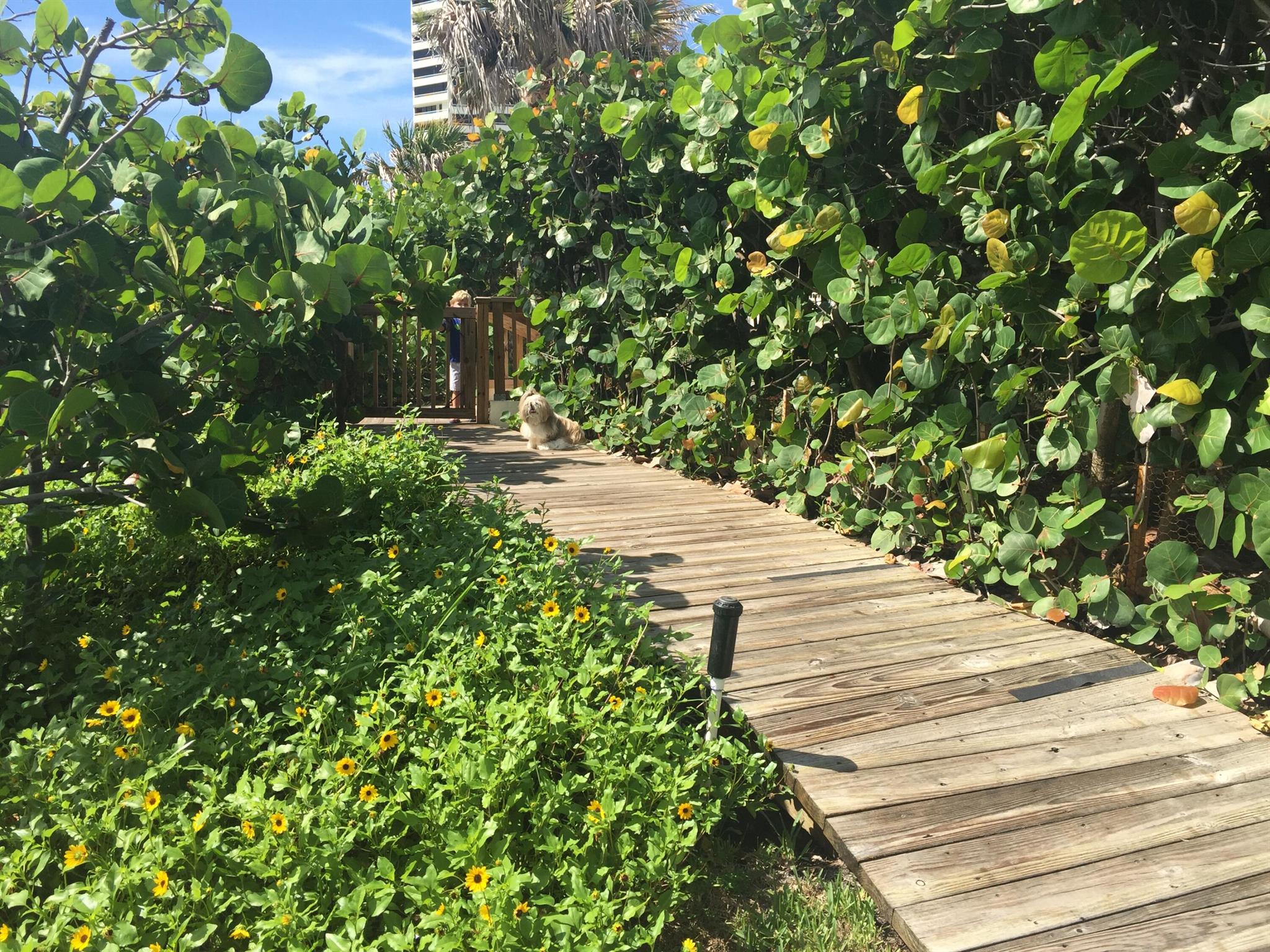 SEAWINDS CONDO - Residential Lease